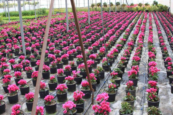 Türktob Ve Süsbi̇r’den Kdv’de İndirim Talebi