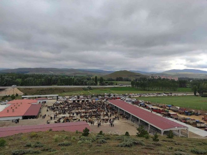 Yıldızeli Canlı Hayvan Pazarı Hizmete Girdi