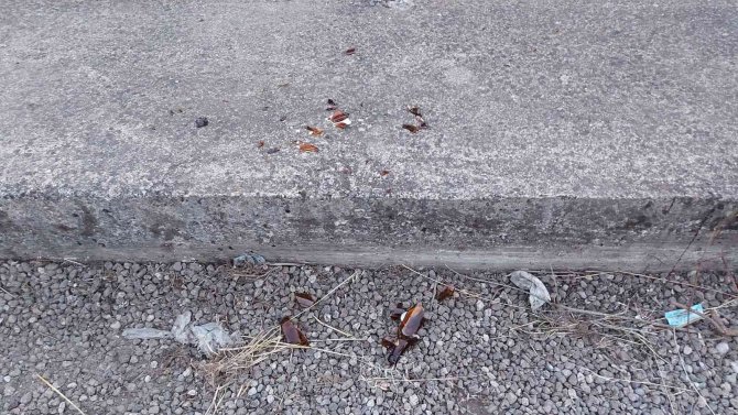 Avukatlara Saldırı Şüphelileri Serbest Bırakıldı