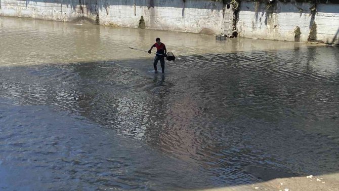 Derede Boğulmak Üzere Olan Kediyi, İtfaiyeciler Kurtardı