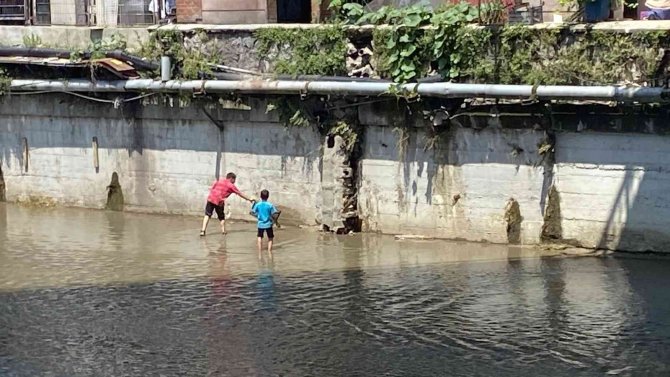 Derede Boğulmak Üzere Olan Kediyi, İtfaiyeciler Kurtardı