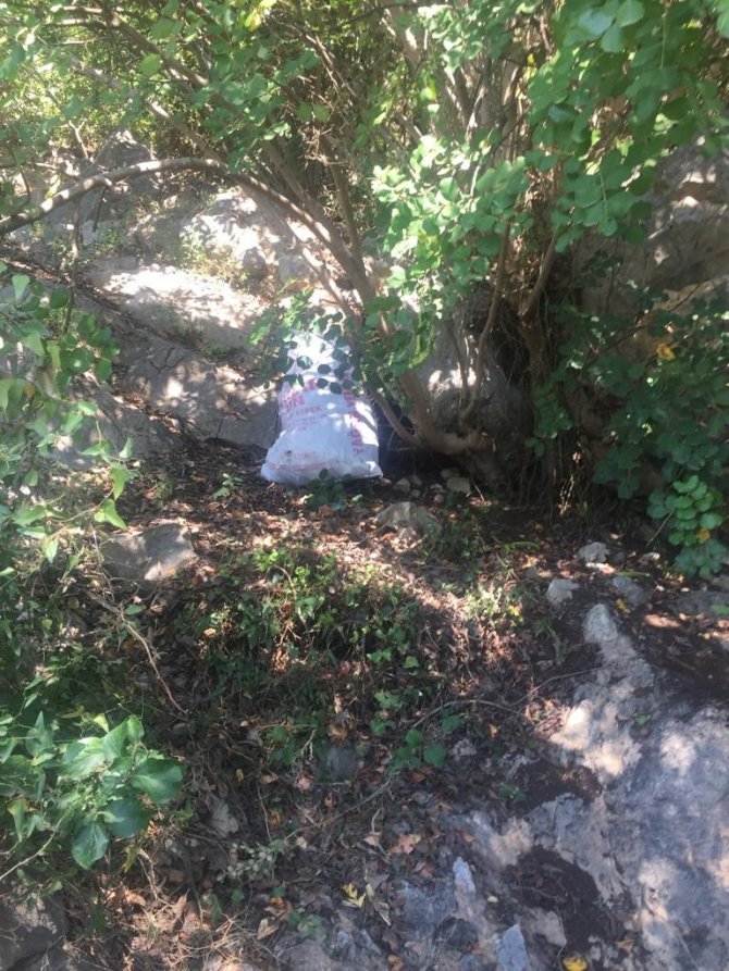 Kozan Kalesi’nde İzinsiz Harnup Toplayanlar Güvenliğe Yakalandı