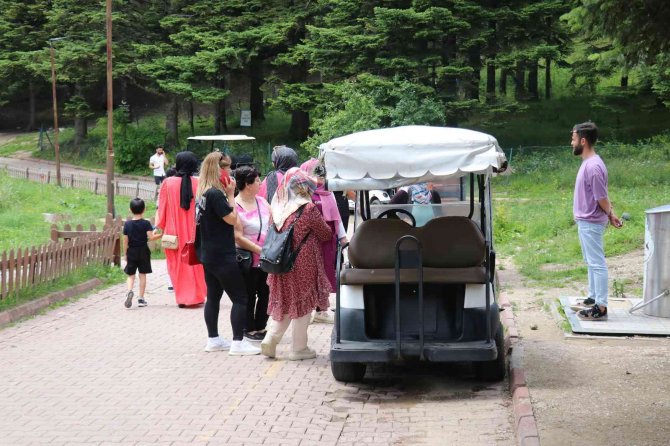 Yağmurlu Günlerin Ardından Tatilciler Gölcük Tabiat Parkı’na Akın Etti