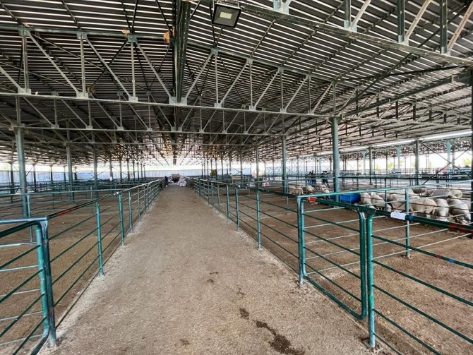 Boş Kalan Hayvan Pazarlarında Umutlu Bekleyiş