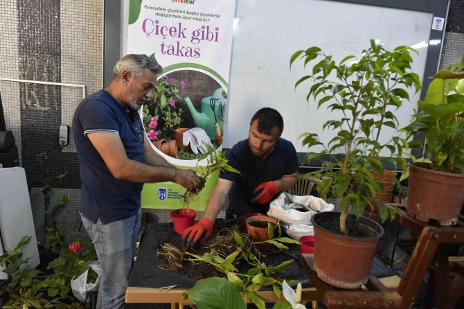 Başkent’te Çiçek Gibi Takas
