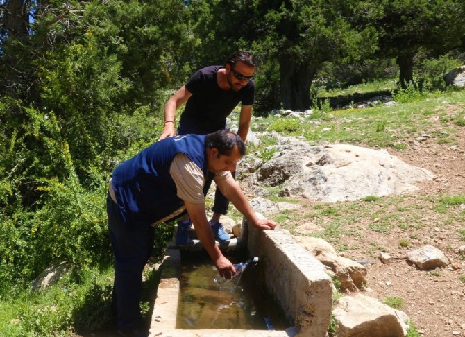 Ardıç Kokulu Su Şifa Dağıtıyor