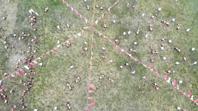 Tarihi Kırkpınar Yağlı Güreşleri’nin İkinci Günü Başladı