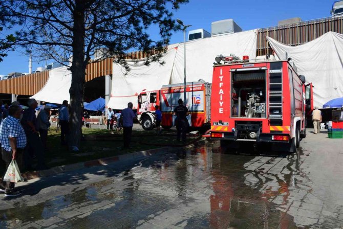 Park Halindeki Panelvan Alevlere Teslim Oldu