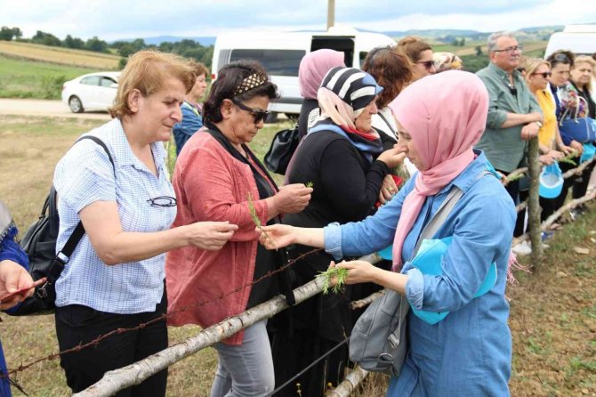 Kadın Muhtarlara Tabi̇p Anlatıldı