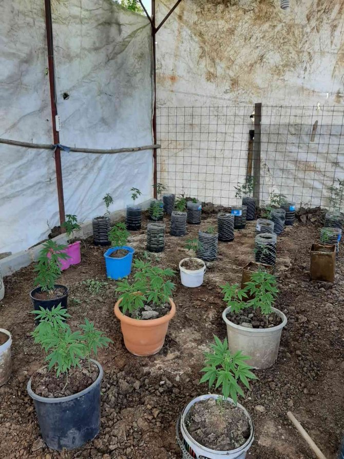 Mersin’de Uyuşturucu Operasyonu; 10 ’Torbacı’ Yakalandı