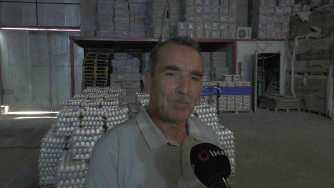 Yumurta Üretimi Durma Noktasında