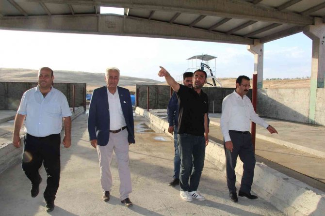 Devletten 4 Milyon Lira Destek Aldı, Günde 5 Ton Süt Üretmeyi Hedefliyor