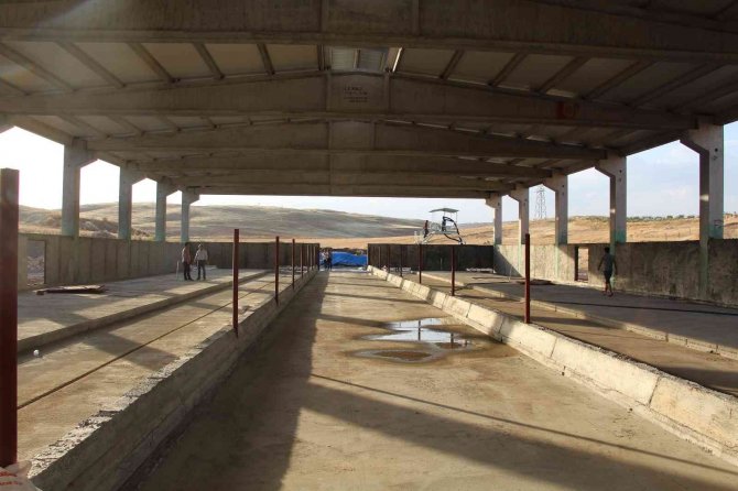 Devletten 4 Milyon Lira Destek Aldı, Günde 5 Ton Süt Üretmeyi Hedefliyor