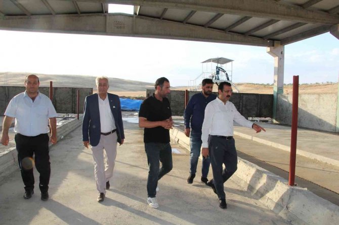 Devletten 4 Milyon Lira Destek Aldı, Günde 5 Ton Süt Üretmeyi Hedefliyor