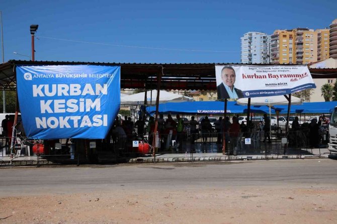 Büyükşehir’den Üç Noktada Ücretsiz Kurban Kesimi