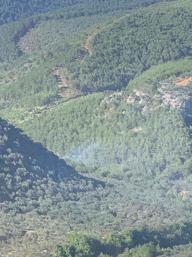 Zeytinlik Yangınına Karadan Ve Havadan Müdahale Edildi
