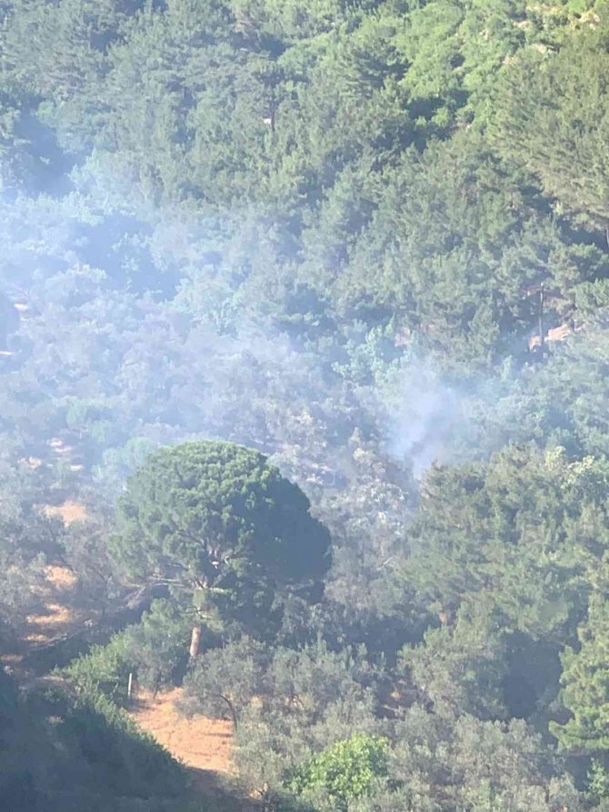 Zeytinlik Yangınına Karadan Ve Havadan Müdahale Edildi