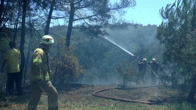 Beykoz Çavuşbaşı’nda Ormanlık Alanda Yangın Çıktı. Olay Yerine Çok Sayıda İtfaiye Ekibi Sevk Edildi. Yangına Havadan Da Helikopterle Müdahale Ediliyor.