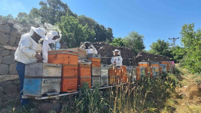 ’Bingöl Bal Arısı’ İle Hem Arı Ölümlerinin Önüne Geçilecek Hem De Kalite Artacak