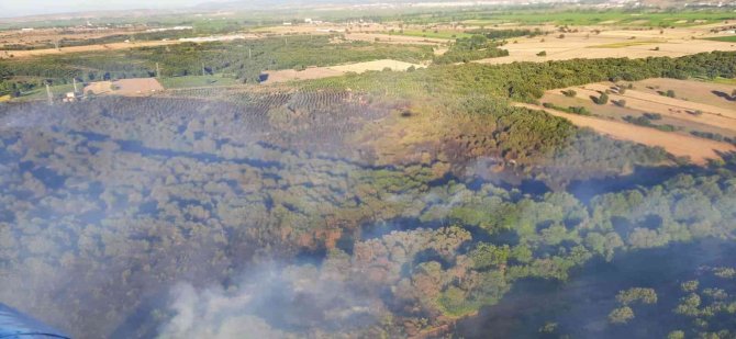 Çanakkale’deki Orman Yangını Kontrol Altına Alındı