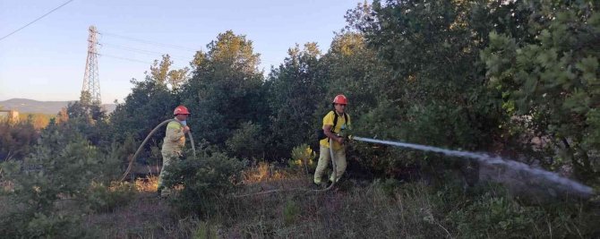 Çanakkale’de Çıkan Orman Yangınına Müdahale Sürüyor