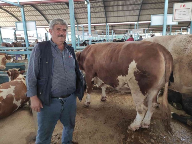 Pazarda Kurbanlık Var Alıcı Yok