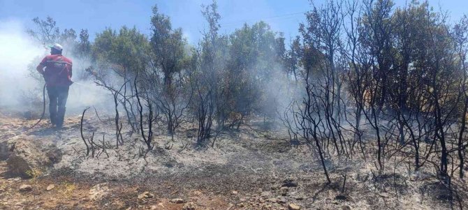 Kilis’te Çıkan Orman Yangını Kısa Sürede Söndürüldü