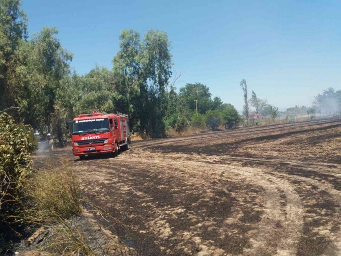 Burhaniye’de Ot Yangını Korkuttu
