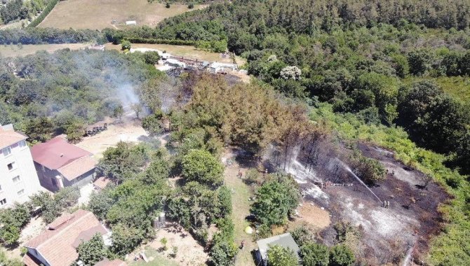 Beykoz’da Korkutan Orman Yangını: Alevler Evlerin Bahçesine Sıçradı
