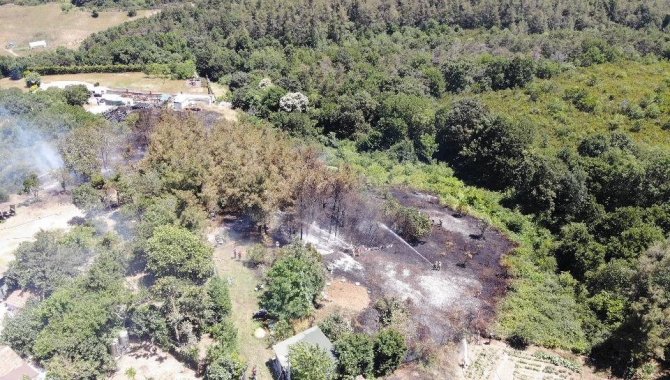 Beykoz’da Korkutan Orman Yangını: Alevler Evlerin Bahçesine Sıçradı