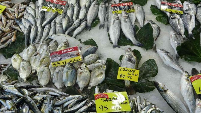 Av Sezonu Bitse De Balıklar Tezgahları Süslemeye Devam Ediyor