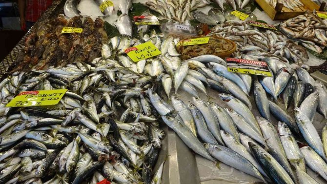 Av Sezonu Bitse De Balıklar Tezgahları Süslemeye Devam Ediyor