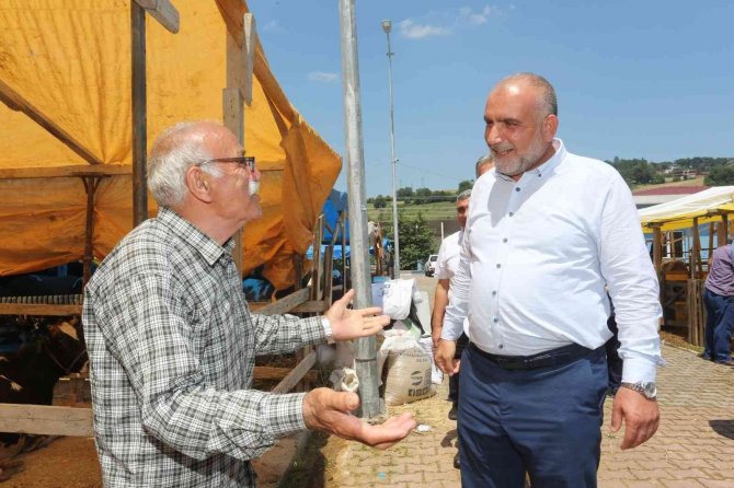 Sandıkçı: “Canik Hayvan Pazarı Karadeniz’de Örnek Bir Pazar”