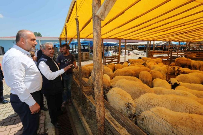 Sandıkçı: “Canik Hayvan Pazarı Karadeniz’de Örnek Bir Pazar”