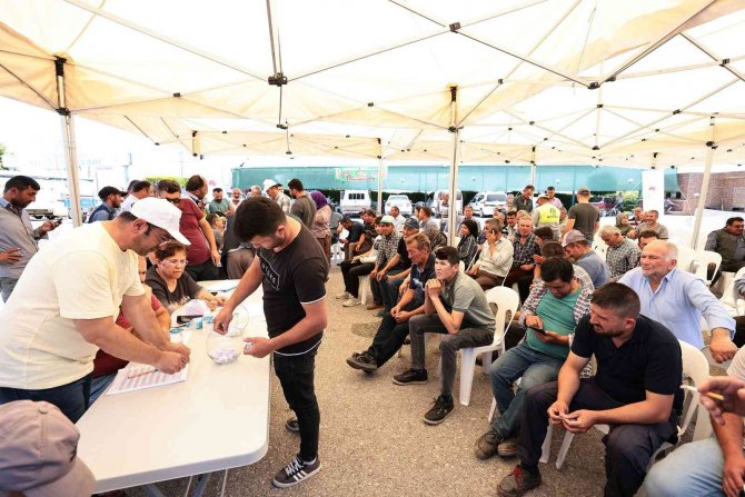 Hibe Desteği 200 Üreticinin Yüzünü Güldürdü