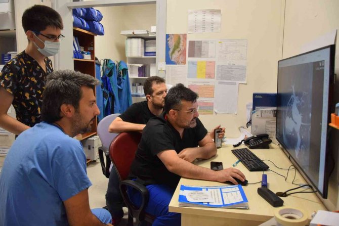 Bölgenin Şifa Adresi