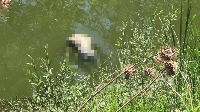 Tunca Nehri’nde Ceset Bulundu