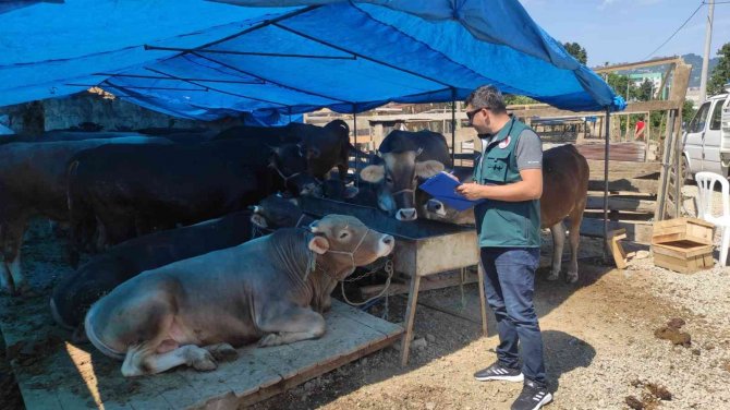 Alıcı Ve Satıcılara Kurbanlık Uyarısı