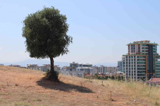 Aydın’ın İlk Yerleşim Yeri, Gün Yüzüne Çıkmayı Bekliyor