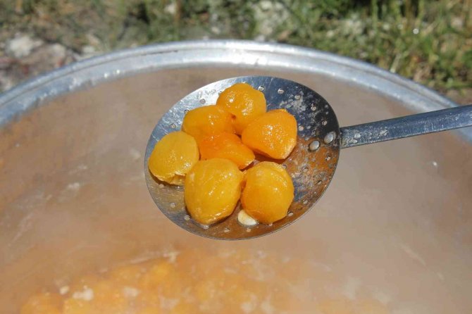 Iğdır’ın Muhteşem Kokulu Kayısısından Reçeller Yapılmaya Başlandı