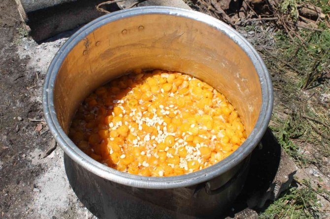 Iğdır’ın Muhteşem Kokulu Kayısısından Reçeller Yapılmaya Başlandı