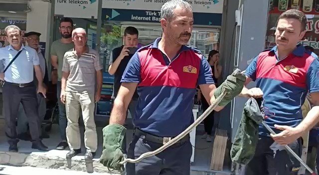 Park Halindeki Motosikletten Yılan Çıktı