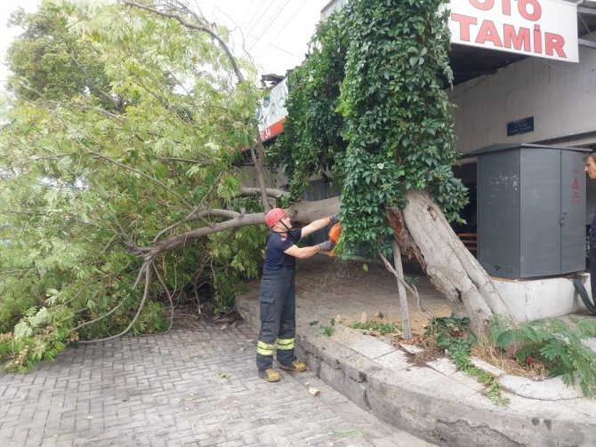 Manisa İ̇tfaiyesinden Yoğun Mesai