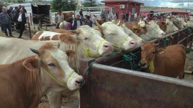 Nevşehir’de Kurban Kesim Yerleri Belirlendi