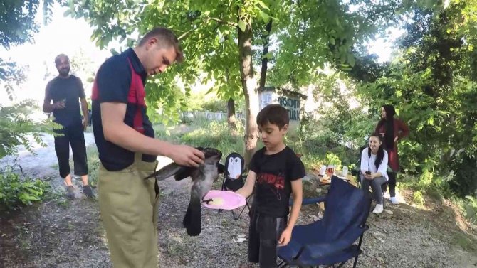 Ayağına İp Dolanan Karganın Yardımına İtfaiye Yetişti
