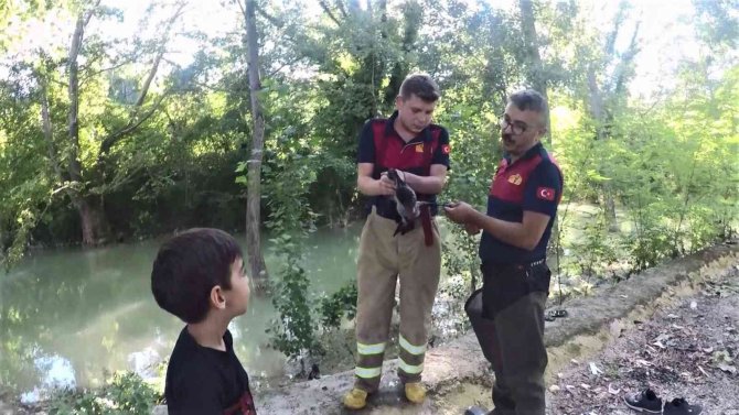 Ayağına İp Dolanan Karganın Yardımına İtfaiye Yetişti