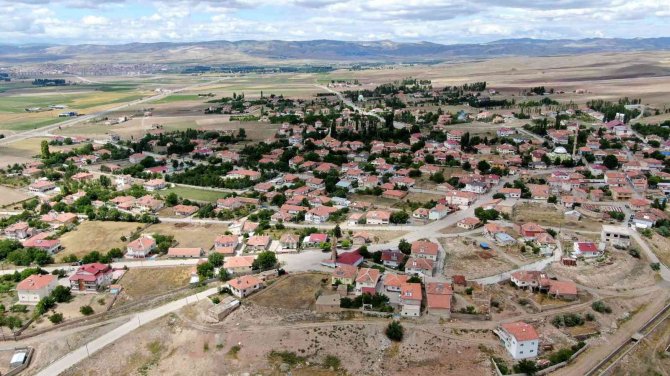 Bu Beldede Her Hanenin Bir Dikili Ağacı Var
