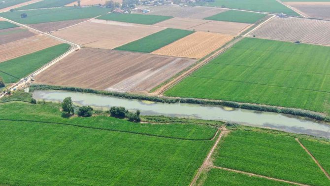 Bir Zamanların Pamuk Diyarı Artık Tropik Meyvelerle Anılıyor