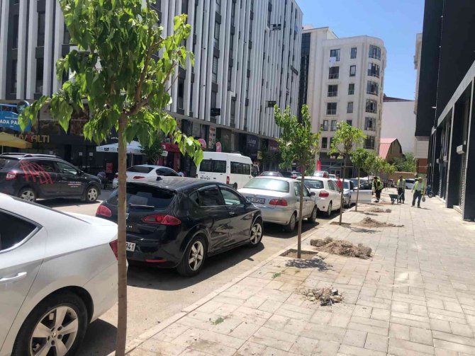İ̇pekyolu Belediyesinden Fidan Dikimi