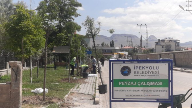 İ̇pekyolu Belediyesinden Fidan Dikimi